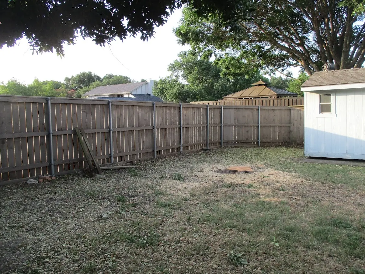 Cleared yard after professional tree removal in Dewittville